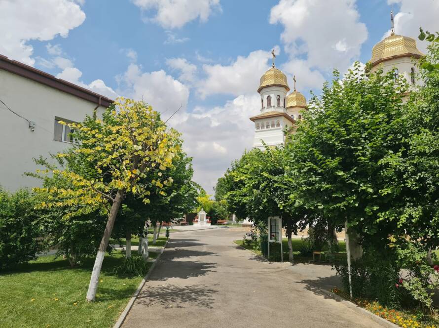 Catedrala Sfinții Apostoli Petru și Pavel văzută din curtea parohială